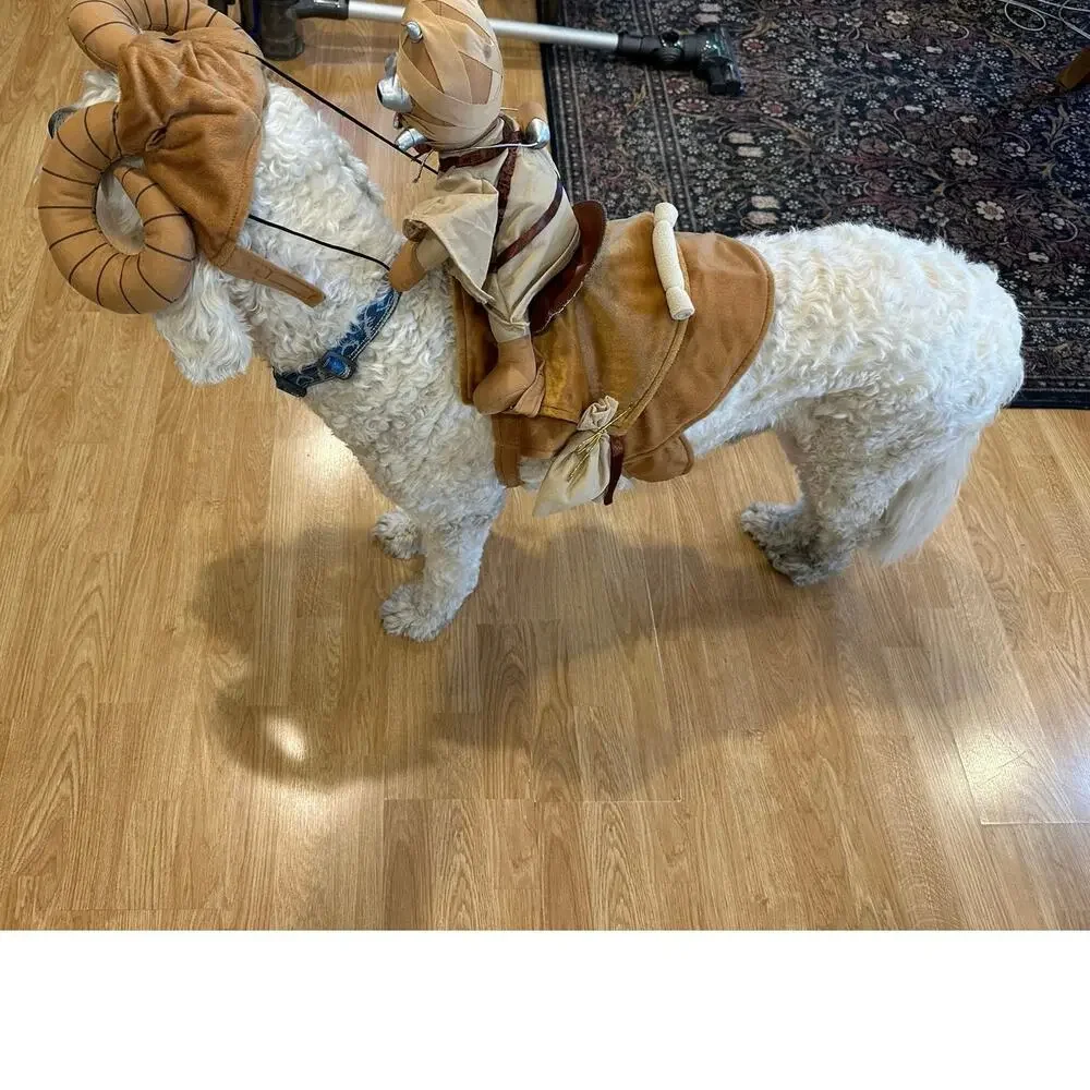 STAR WARS BANTHA RIDER PET COSTUME